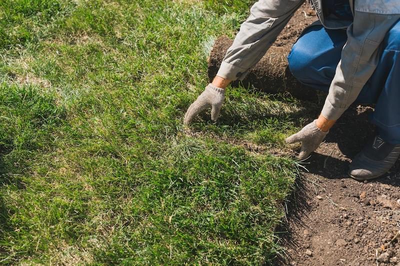 Grass installation