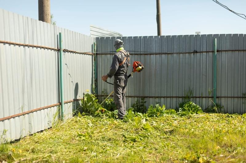 Man weeding a lawn